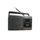 Tecsonic Radio (BT