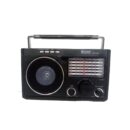 Tecsonic Radio - TSR - 77BT